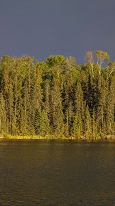 Preview wallpaper river, forest, trees, sky