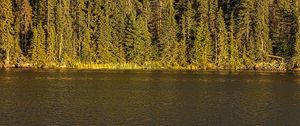 Preview wallpaper river, forest, trees, sky