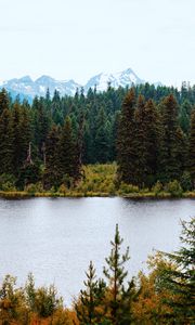 Preview wallpaper river, forest, trees, mountains, landscape