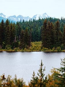 Preview wallpaper river, forest, trees, mountains, landscape