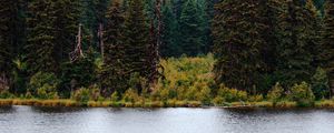 Preview wallpaper river, forest, trees, mountains, landscape