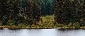 Preview wallpaper river, forest, trees, mountains, landscape