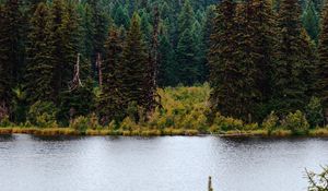 Preview wallpaper river, forest, trees, mountains, landscape