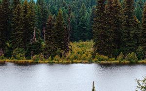 Preview wallpaper river, forest, trees, mountains, landscape