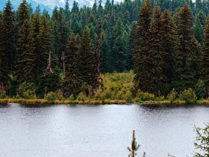 Preview wallpaper river, forest, trees, mountains, landscape