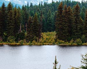 Preview wallpaper river, forest, trees, mountains, landscape