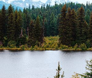 Preview wallpaper river, forest, trees, mountains, landscape
