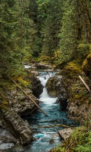 Preview wallpaper river, forest, trees, stones, stream