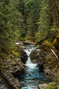 Preview wallpaper river, forest, trees, stones, stream