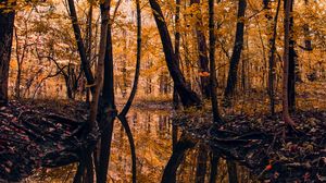 Preview wallpaper river, forest, trees, autumn, landscape