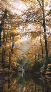 Preview wallpaper river, forest, trees, landscape, autumn