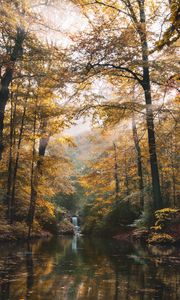 Preview wallpaper river, forest, trees, landscape, autumn