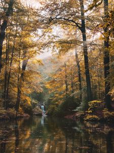 Preview wallpaper river, forest, trees, landscape, autumn