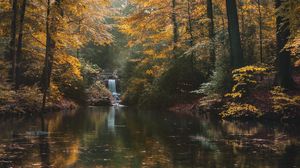 Preview wallpaper river, forest, trees, landscape, autumn