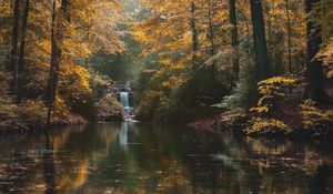 Preview wallpaper river, forest, trees, landscape, autumn