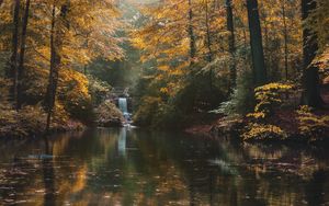 Preview wallpaper river, forest, trees, landscape, autumn