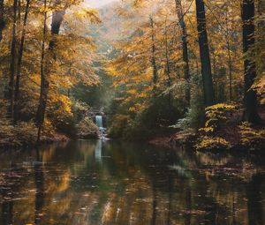 Preview wallpaper river, forest, trees, landscape, autumn