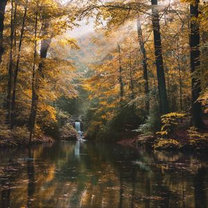 Preview wallpaper river, forest, trees, landscape, autumn