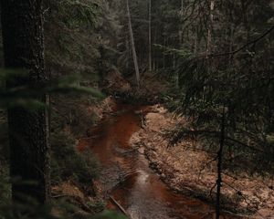 Preview wallpaper river, forest, trees, pines, nature