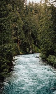 Preview wallpaper river, forest, trees, water, nature