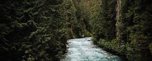 Preview wallpaper river, forest, trees, water, nature