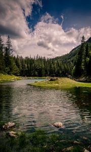 Preview wallpaper river, forest, trees, grass