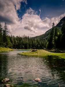 Preview wallpaper river, forest, trees, grass