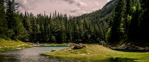 Preview wallpaper river, forest, trees, grass