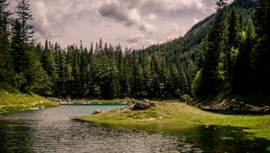 Preview wallpaper river, forest, trees, grass