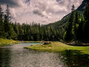 Preview wallpaper river, forest, trees, grass