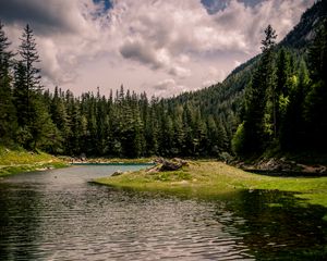 Preview wallpaper river, forest, trees, grass