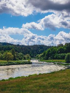 Preview wallpaper river, forest, trees, grass, meandering