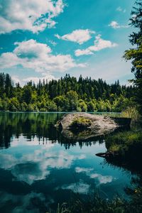 Preview wallpaper river, forest, trees, stone, grass