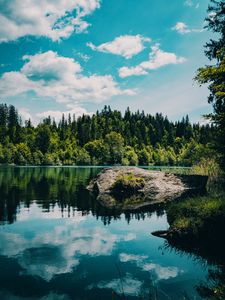 Preview wallpaper river, forest, trees, stone, grass
