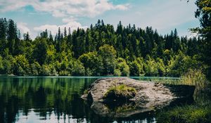 Preview wallpaper river, forest, trees, stone, grass