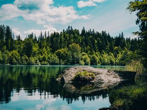 Preview wallpaper river, forest, trees, stone, grass