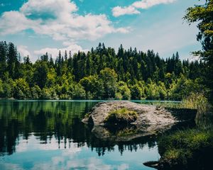 Preview wallpaper river, forest, trees, stone, grass
