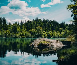 Preview wallpaper river, forest, trees, stone, grass