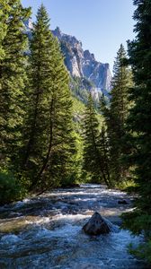 Preview wallpaper river, forest, trees, mountains, nature