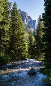 Preview wallpaper river, forest, trees, mountains, nature