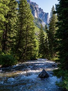 Preview wallpaper river, forest, trees, mountains, nature