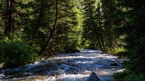 Preview wallpaper river, forest, trees, mountains, nature