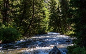 Preview wallpaper river, forest, trees, mountains, nature