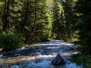 Preview wallpaper river, forest, trees, mountains, nature