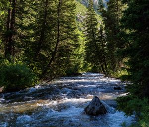 Preview wallpaper river, forest, trees, mountains, nature