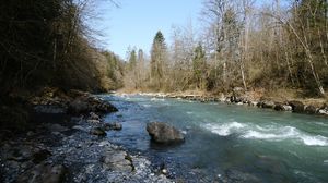 Preview wallpaper river, forest, trees, stones, nature