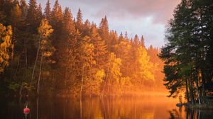 Preview wallpaper river, forest, trees, landscape, sunset