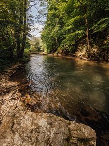Preview wallpaper river, forest, trees, nature, landscape
