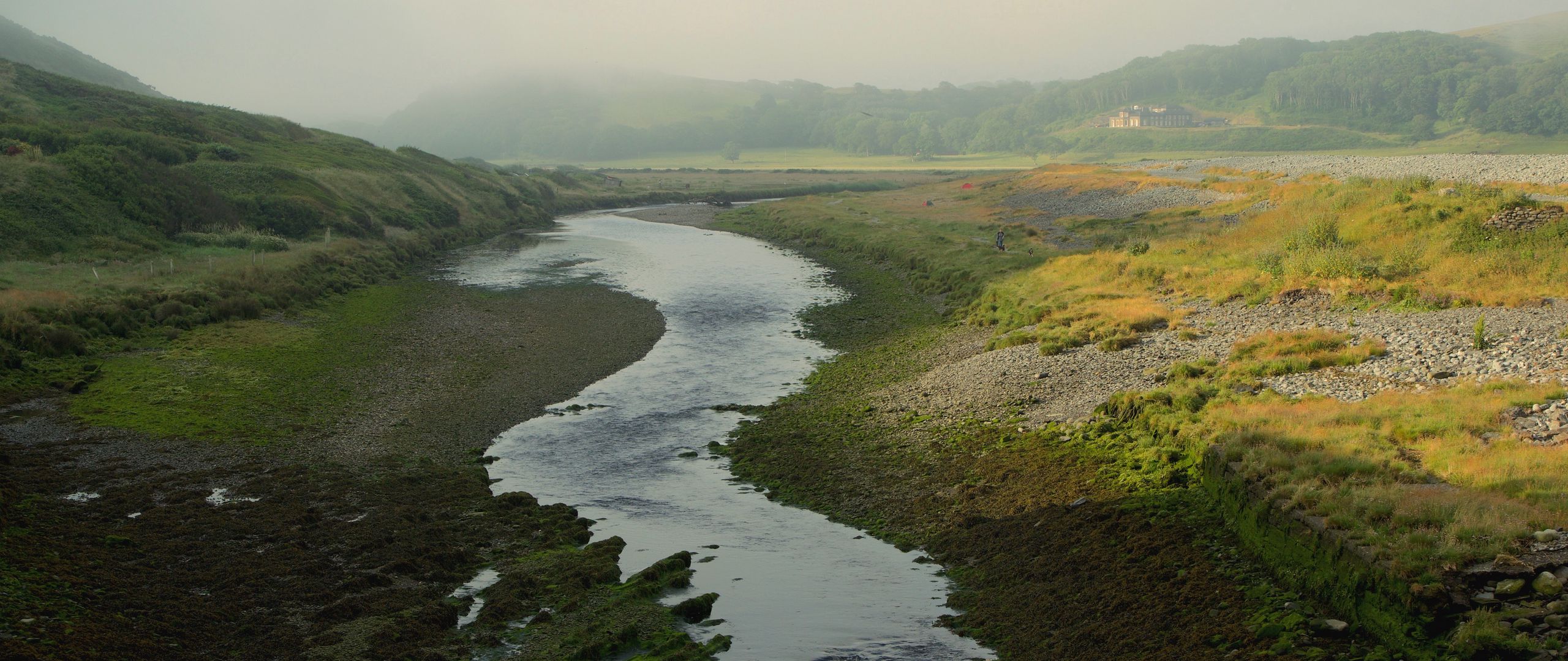 Download wallpaper 2560x1080 river, forest, trees, fog, nature dual