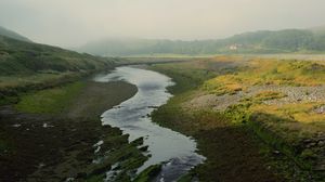 Preview wallpaper river, forest, trees, fog, nature